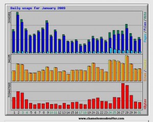 Daily usage for January 2009