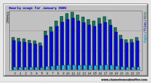 Hourly usage for January 2009