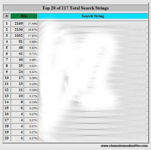 Search Engine Traffic